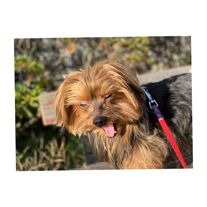 06e5fc8d b8bc 4c05 a745 5aa5833ede92 1543912968965