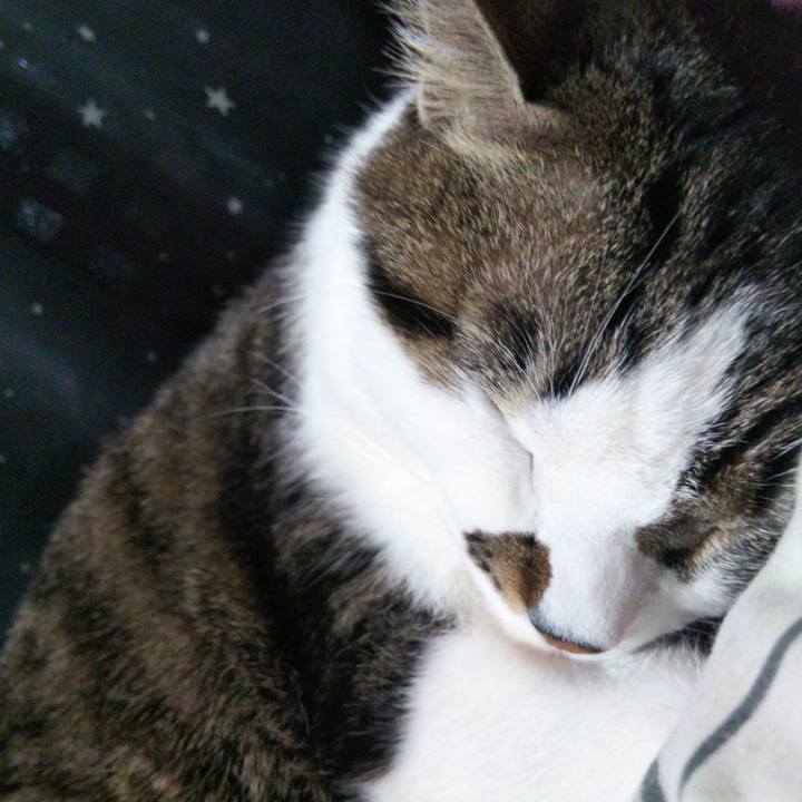 06e62ec3 88f6 4f6a bc98 d280c332e5b6 1638142671655