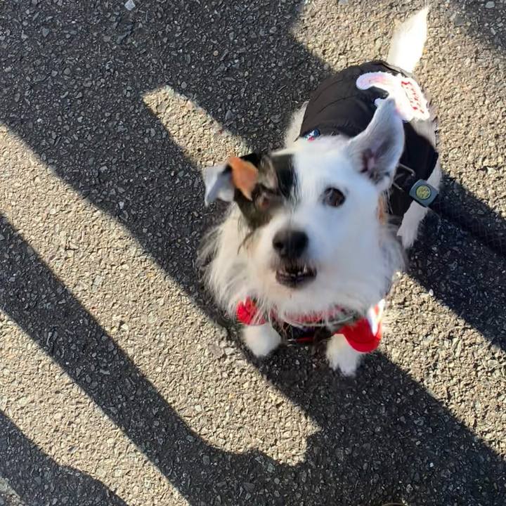 06e63680 c598 4701 817d 925c7d70172d 1736812585591