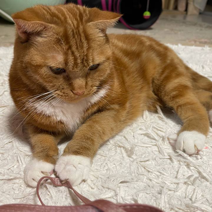 06e64b3f 1985 44f3 8a9c 882eb7fb30dc 1736681807938