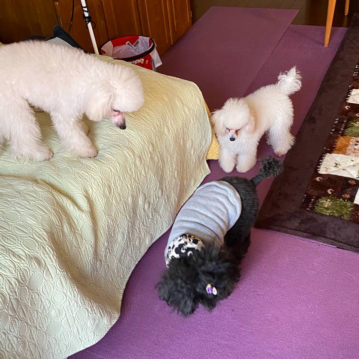 06e654bb 2498 44df 98f0 b2e4477fe71c 1638018847174