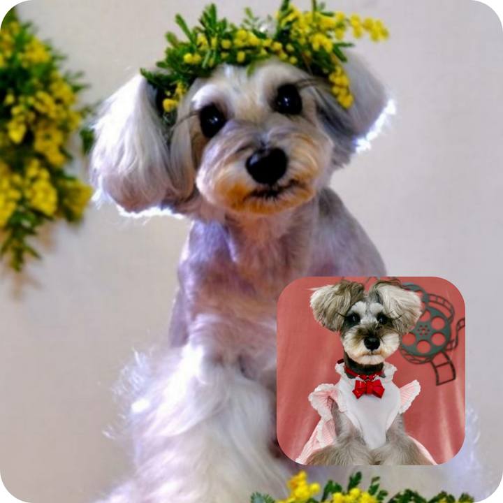 06e69d09 224f 4a32 8fe0 a845110bca65 1720659422201