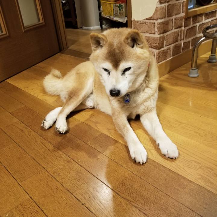 06e6acd5 a542 48e7 9636 ef29d9076191 1739613112321