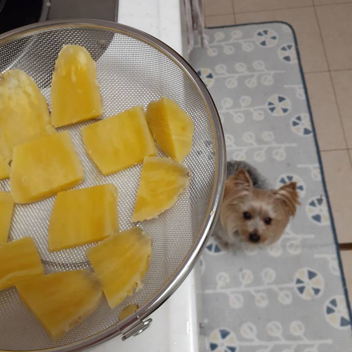 06e6b0df 232a 45cb 8d3c 67cb795c1e49 1642902203682