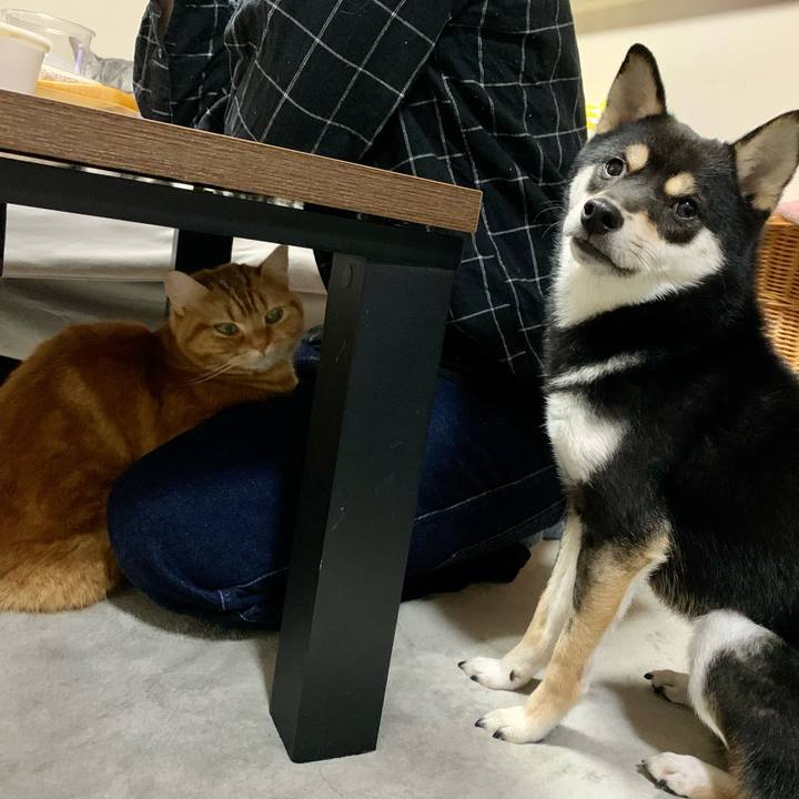 06e6badc 5b1e 4f6a a48e 8be7ecbf28c5 1612614017542