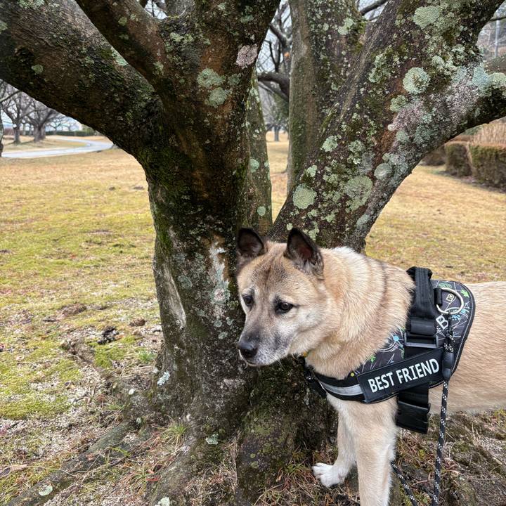 06e6bdd0 a886 4d92 b612 4ef4aee7090e 1739708649038