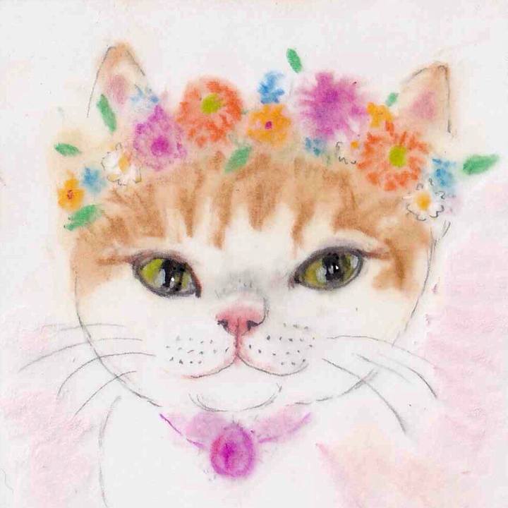 06e6c8cb 30cb 4a02 b863 d059bf9da90f 1656683610707