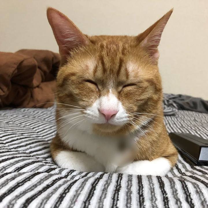 06e6e777 c5fd 48d2 a508 47ba66a1c4f5 1559054321538