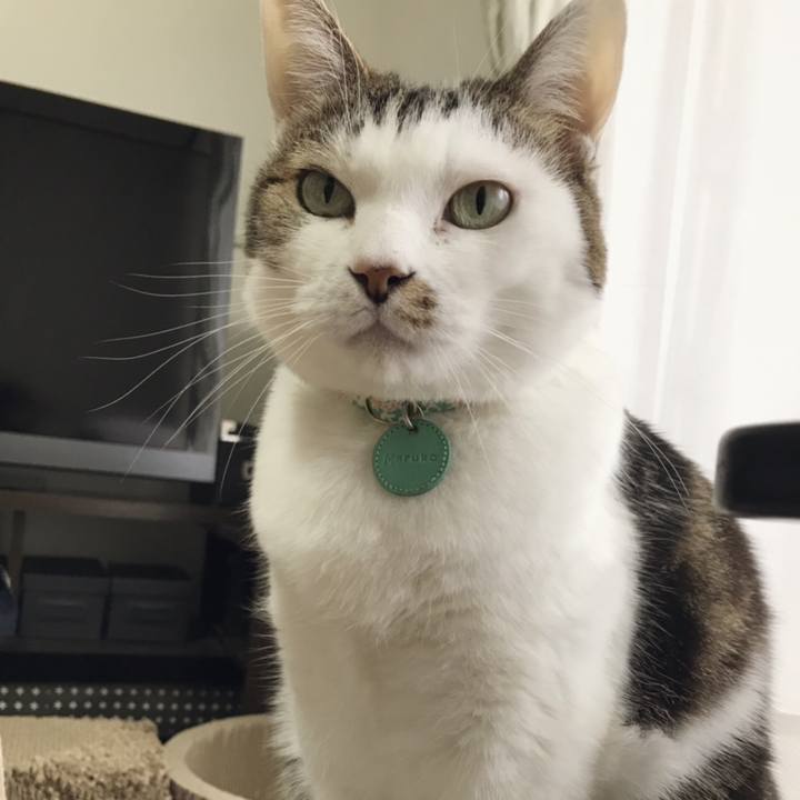 06e71563 64e3 446c adb7 2d0005e1f937 1550826705609