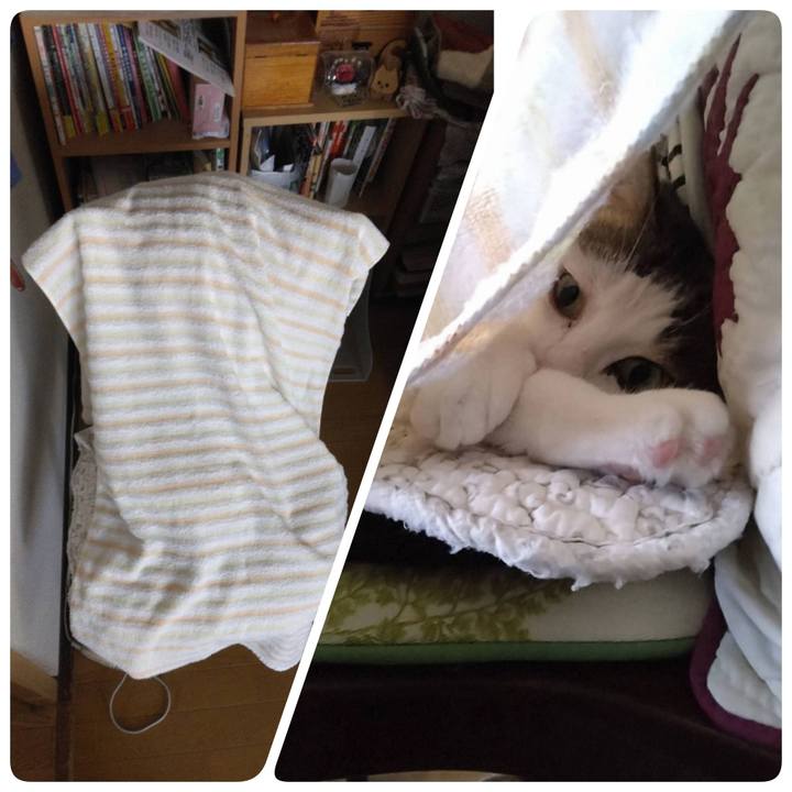 06e78c07 7f37 4c90 a4a9 b789942a93c4 1758243663821