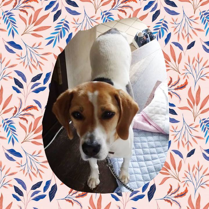 06e7d4c1 cf6c 4f34 9c26 279438200321 1592017410040