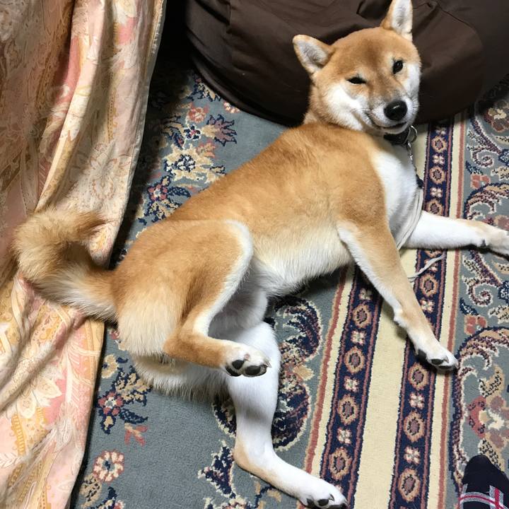 06e7e177 6ab0 4560 9875 40176d86801a 1511265490922