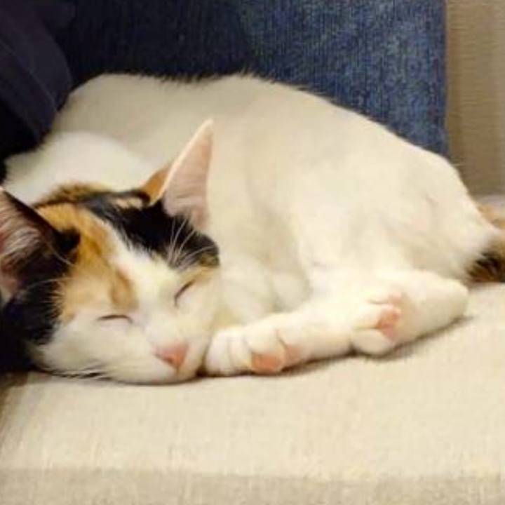 06e7e7a0 1627 49ab 8f1b e3ea346daaca 1766281659032