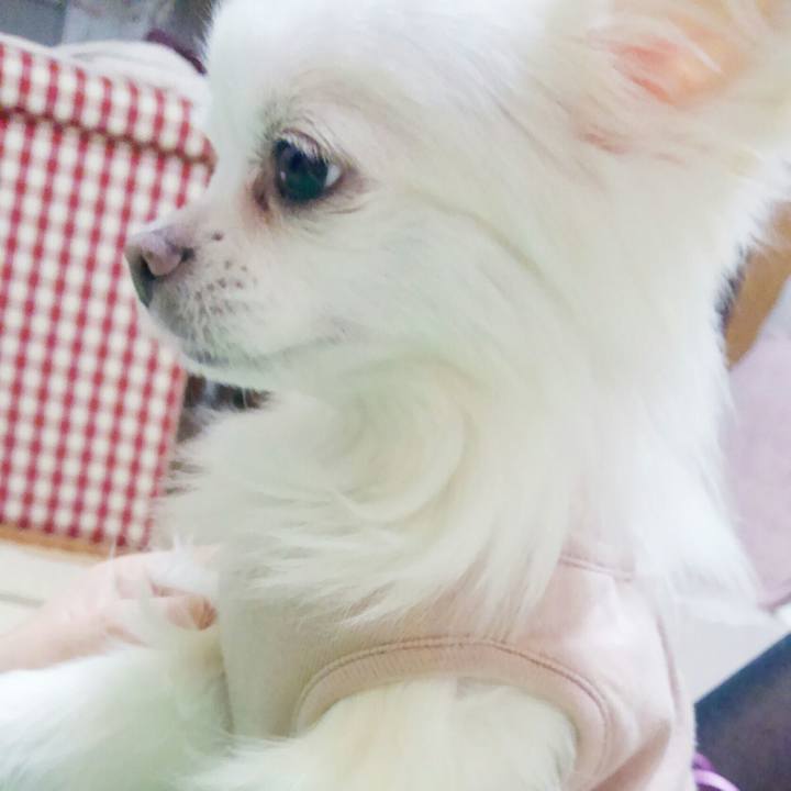 06e7f192 f507 4940 a773 b82e339e65bb 1509709787414