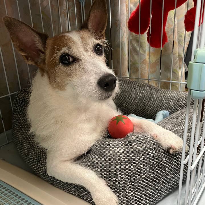 06e82032 4380 4414 87b7 05804a5ba099 1725578268372