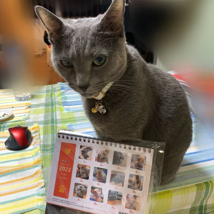 06e83064 e936 488e 8c01 db80a6cea377 1637225505315