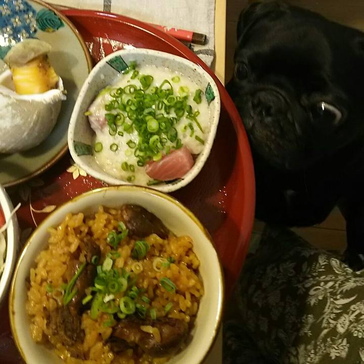 06e83fc4 825b 486f bc59 e365bd048e83 1538045348349