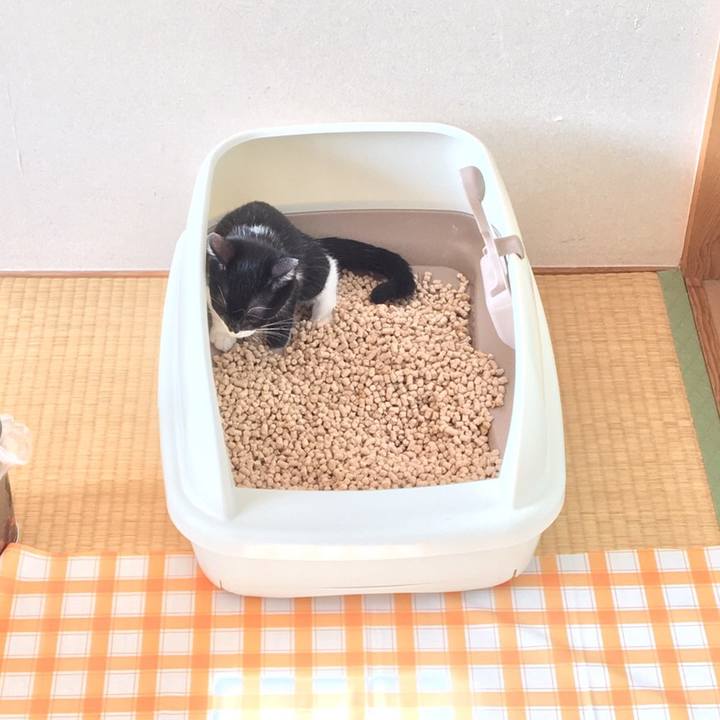 06e86e34 8a54 463b 8726 456db2bb182f 1508381031091