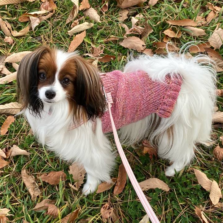 06e8c964 e589 4b6b 88d5 105ea39b075b 1637459571242