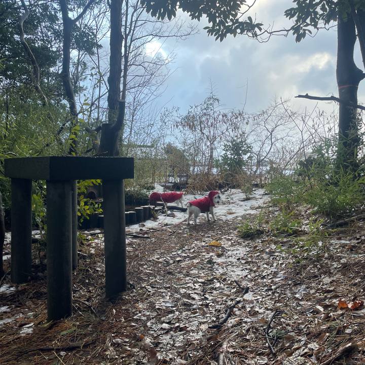 06e95ccf 8960 48b7 8344 6fc154826946 1736552226845