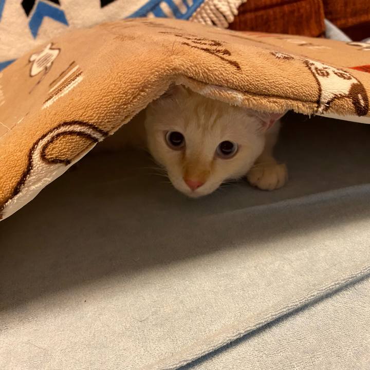 06e96f79 fc83 4a4b b162 ebe93efd1743 1600751393896