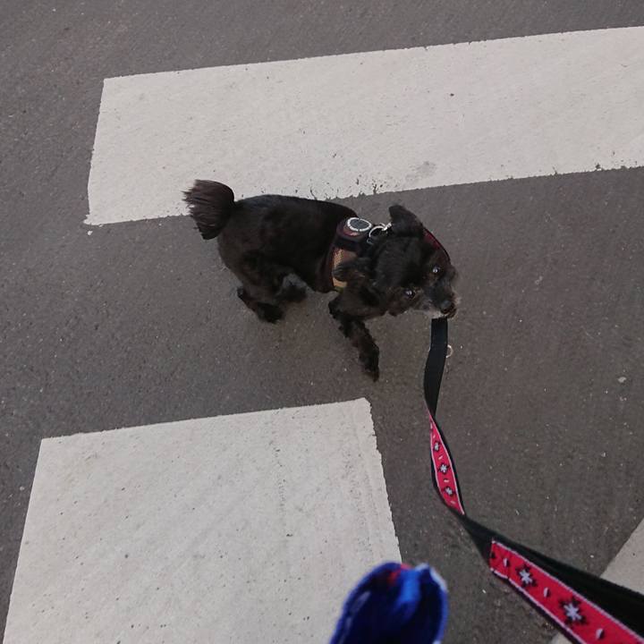 06e981ea ed14 4af4 92e6 3353315c462e 1556438196535