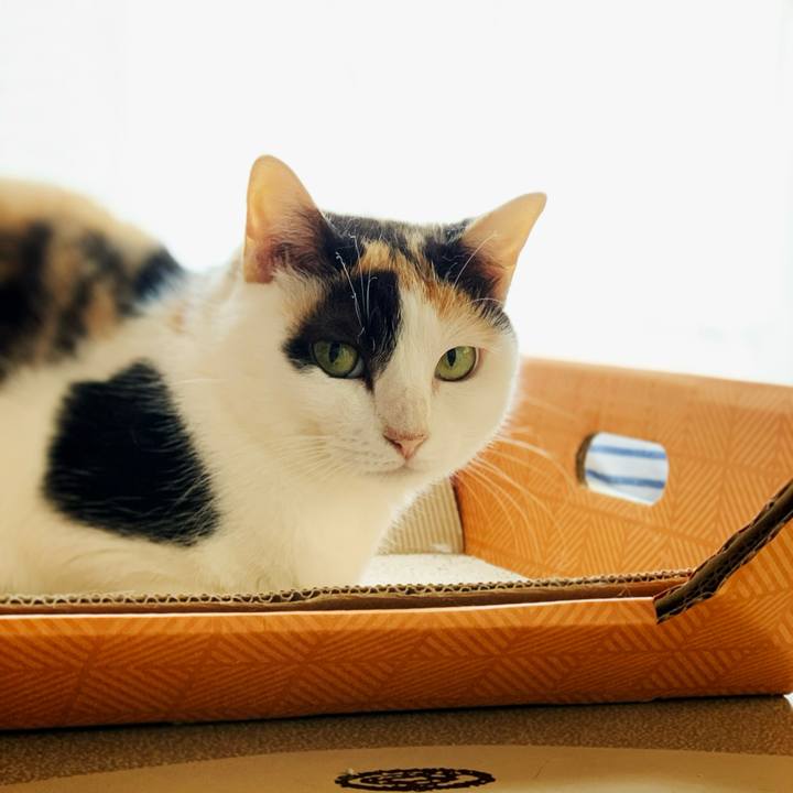 06e9a30f 7411 4d35 8f64 8ff94d14468a 1599616874346