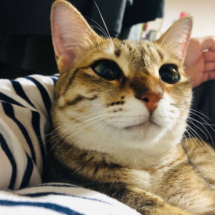 06e9ef1e 8760 44f7 b05d dda6558e0758 1623936285858