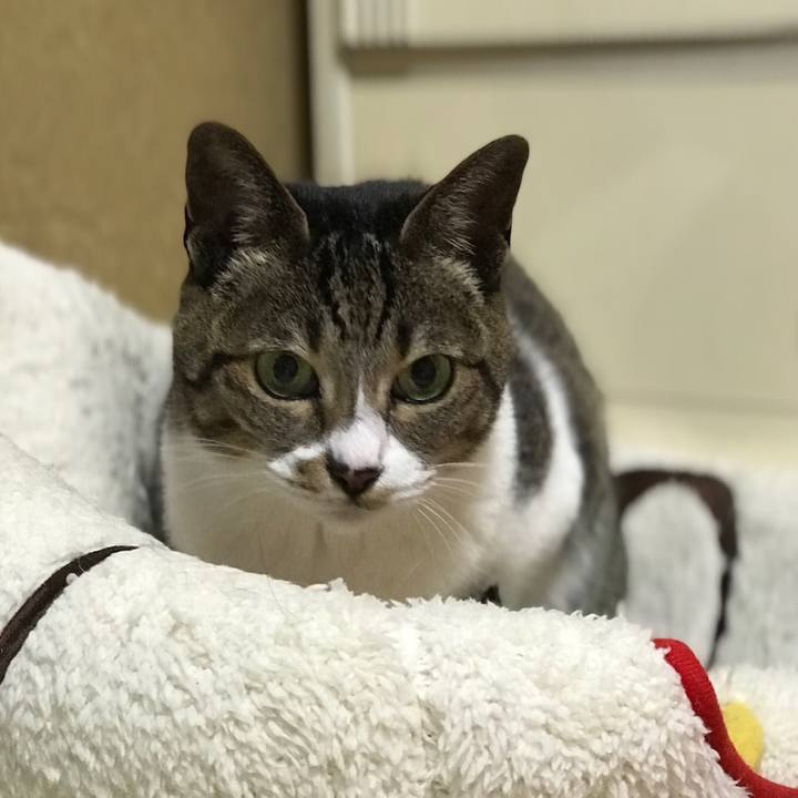 06ea154e 957c 4819 a7e5 d2b4bc5214f3 1526088714907