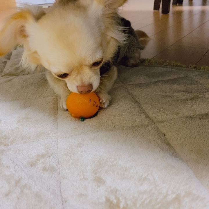 06ea2166 3104 438c 9a6e ad13d8186ff8 1610721911383