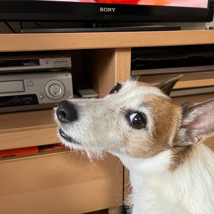 06ea36d6 fb03 4052 b30e cc8cc64e8e70 1696034871555