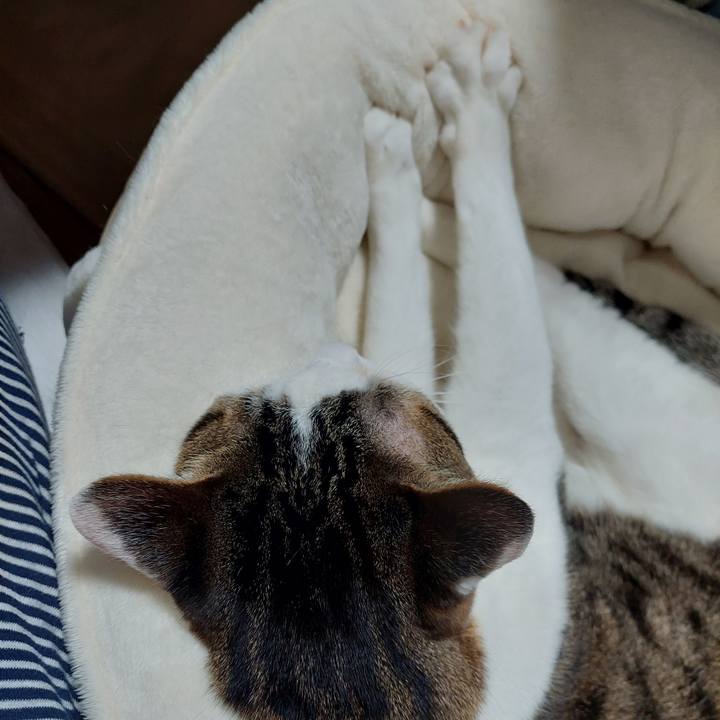 06ea50a6 92ad 4e1c aae2 5628ad0d8ae8 1642336392265