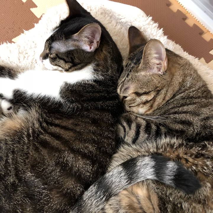 06ea5d4d c2fb 401f a9f7 0a09250fffe0 1515818857568