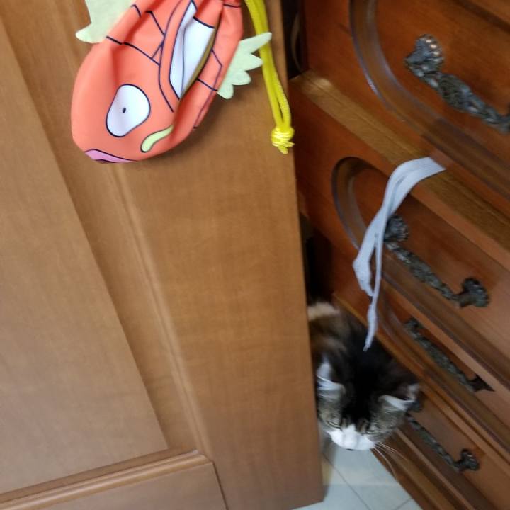 06ea744c a993 495d 97b0 a827783d89bc 1580731673573