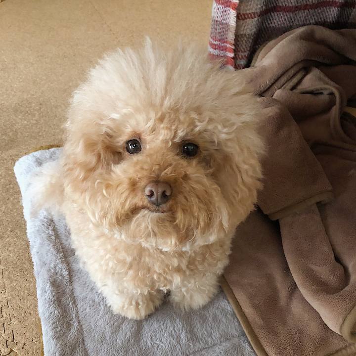 06eaa79d 2207 43a3 9733 4300e66a2e3f 1520412827854