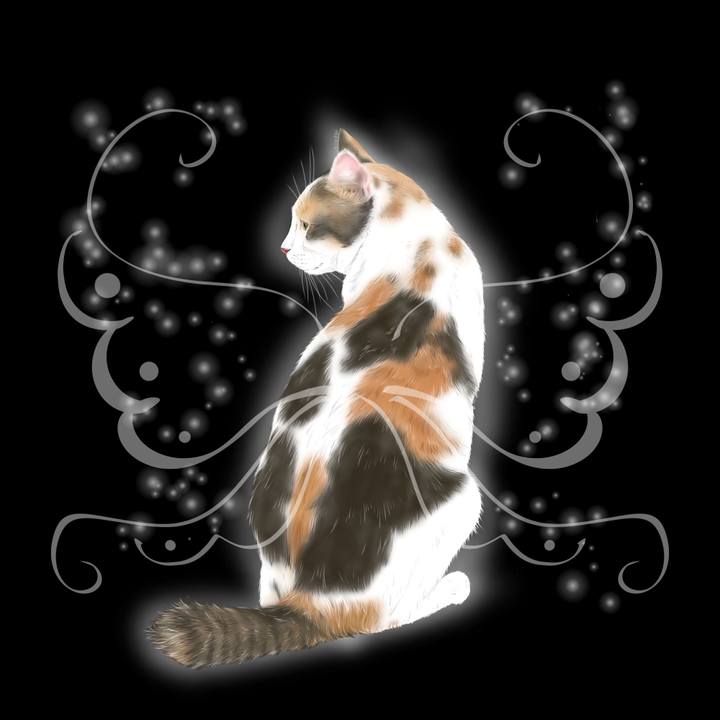 06eacbac 9c53 454c 8e77 85a5fd02bbcb 1625062693153