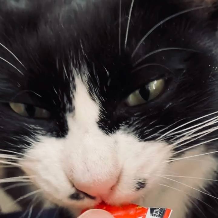 06ead98a d147 4fa6 a4ed feece153c356 1732503686792