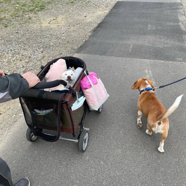 06eadc29 0230 4b1c b87e c7911eee238e 1680094624629