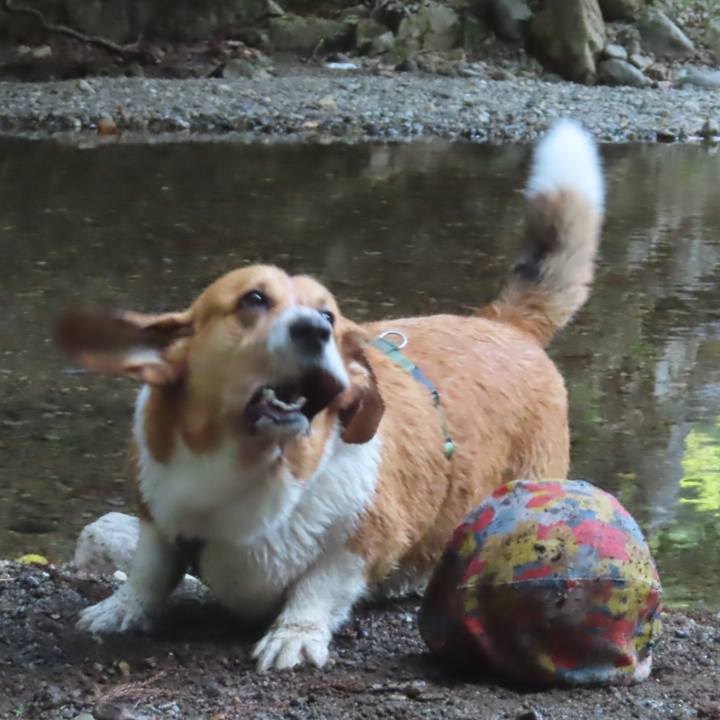 06eaff0e ea30 4f88 ac6c 4819507e50d5 1750724380798