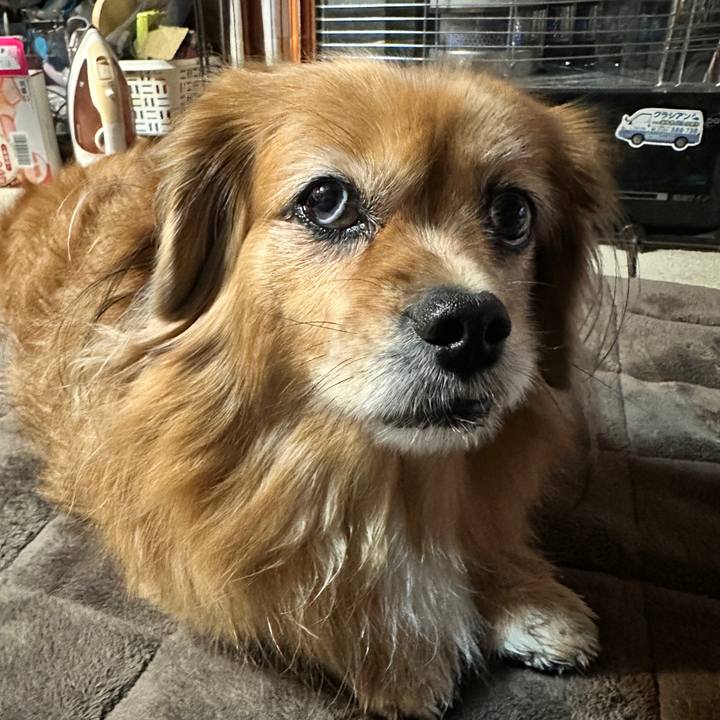 06eb0c46 7a8d 4deb b7fa a28914151a22 1763501186030