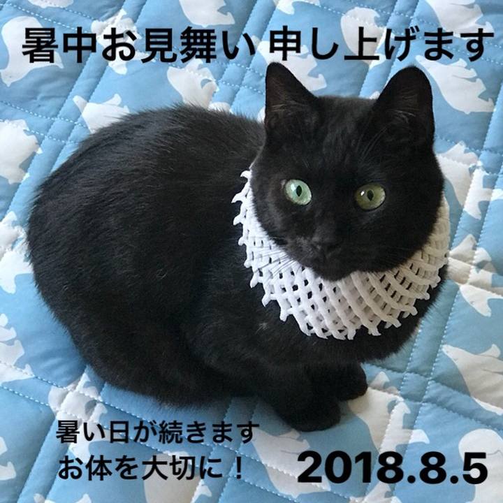 06eb6d6e 29bc 4734 868e aa2e0509c880 1533476967999