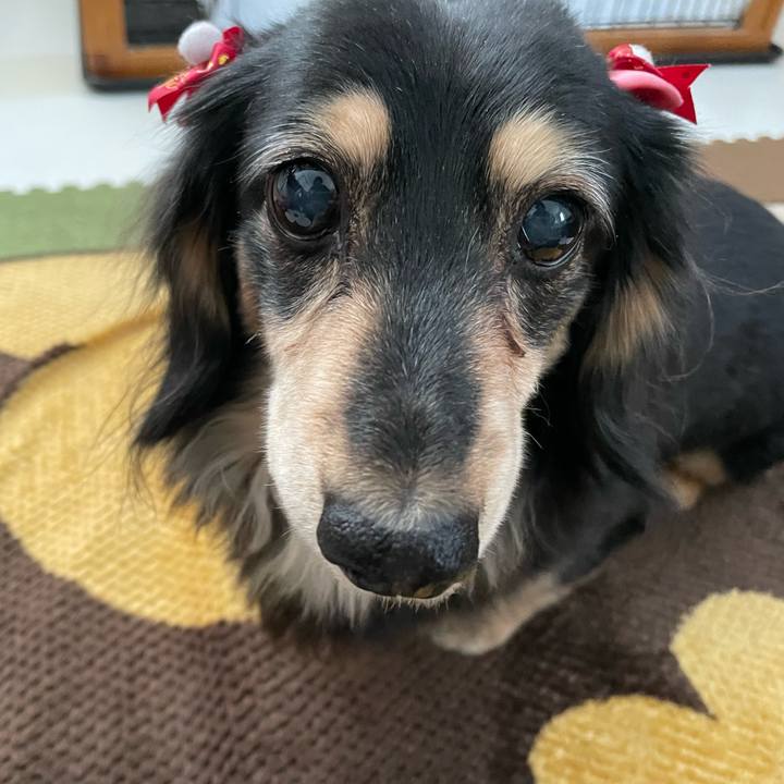 06eb7016 358a 40f4 852b dd08ebc79dbd 1645369884622