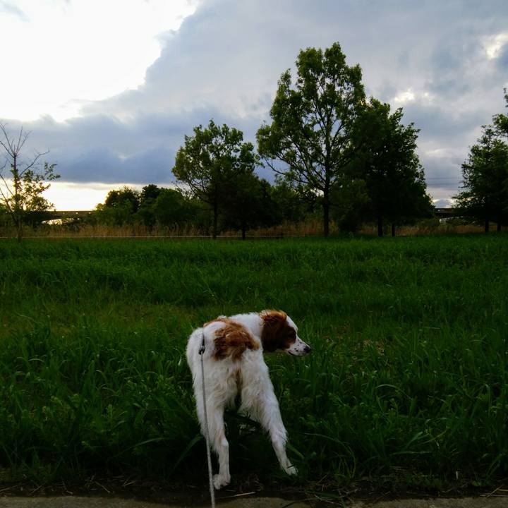 06eb7a86 456e 4b77 ba28 2a3aad673f1a 1556281362973