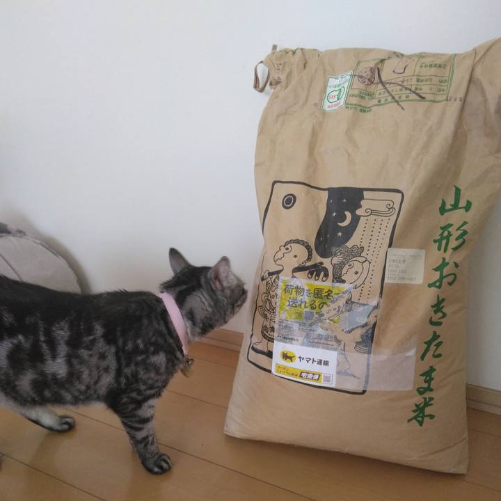 06eb8d09 d135 416e 9e87 10eb85be7e62 1759721505382