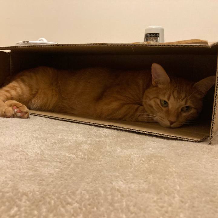 06ebfdbd 72d9 478a b467 b59656b1c058 1764405690778