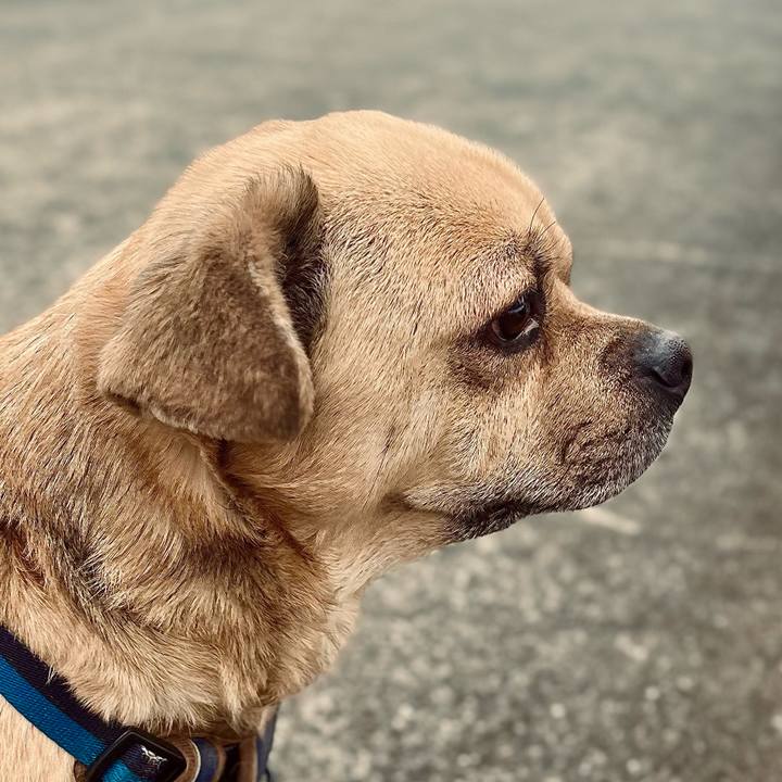 06ec0459 3317 431e 924c 9908a41857de 1771916563216