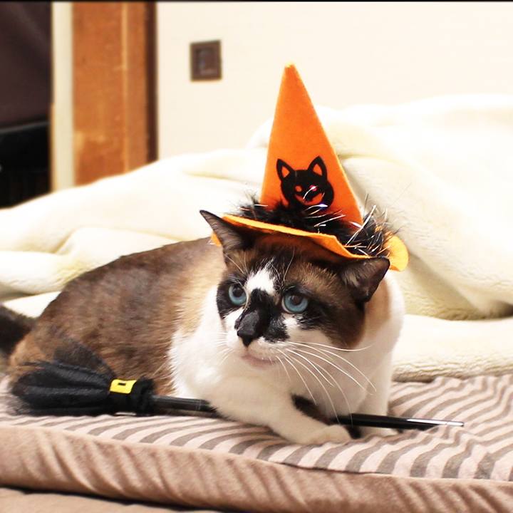 06ec1842 c5f6 4c0e a3a0 6709497c7e4a 1509446244657