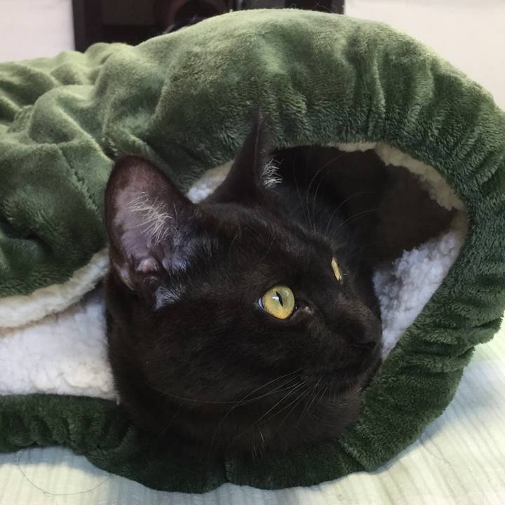 06ec6cde a94d 4302 bae6 70d5c3dd000e 1511423302065