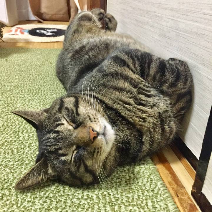 06ec6d37 363b 45f5 b418 921ec2d6bf73 1607587116308