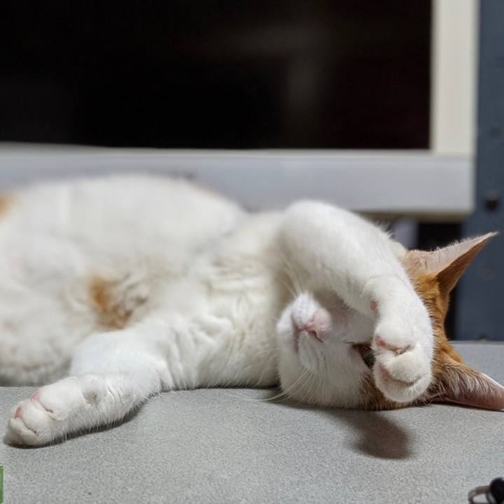 06ec8792 3620 46aa a220 077e4f765005 1565697831995